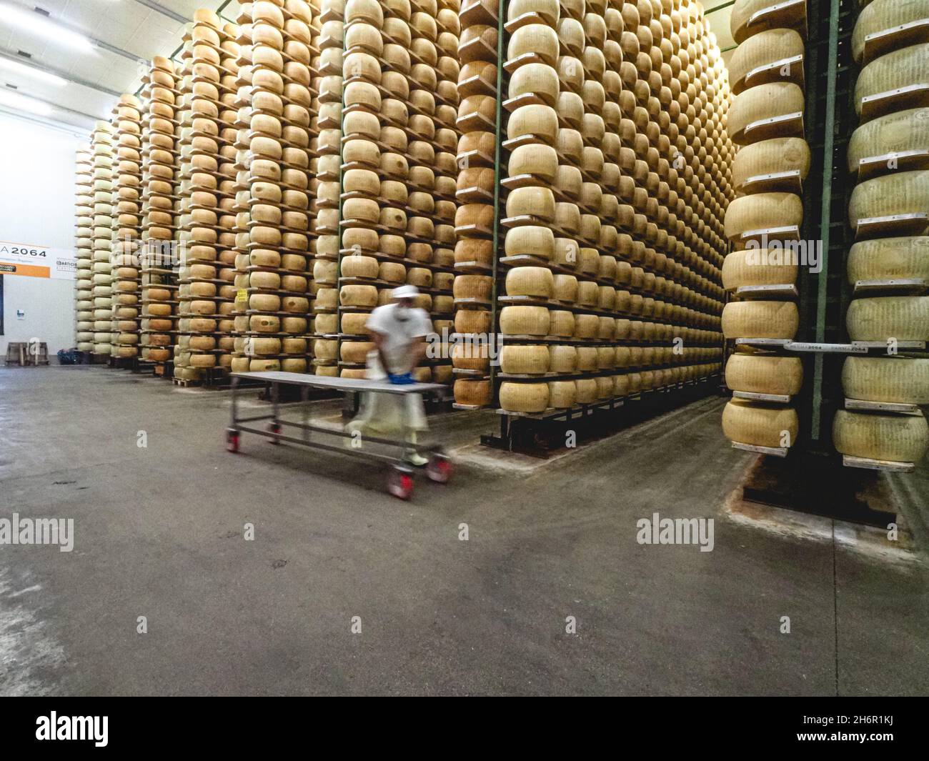 parmesan Parmigiano Reggiano Käserad reift in der Tagebuchproduktion Lagerung in einer besonderen Atmosphäre in Parma Italien Stockfoto