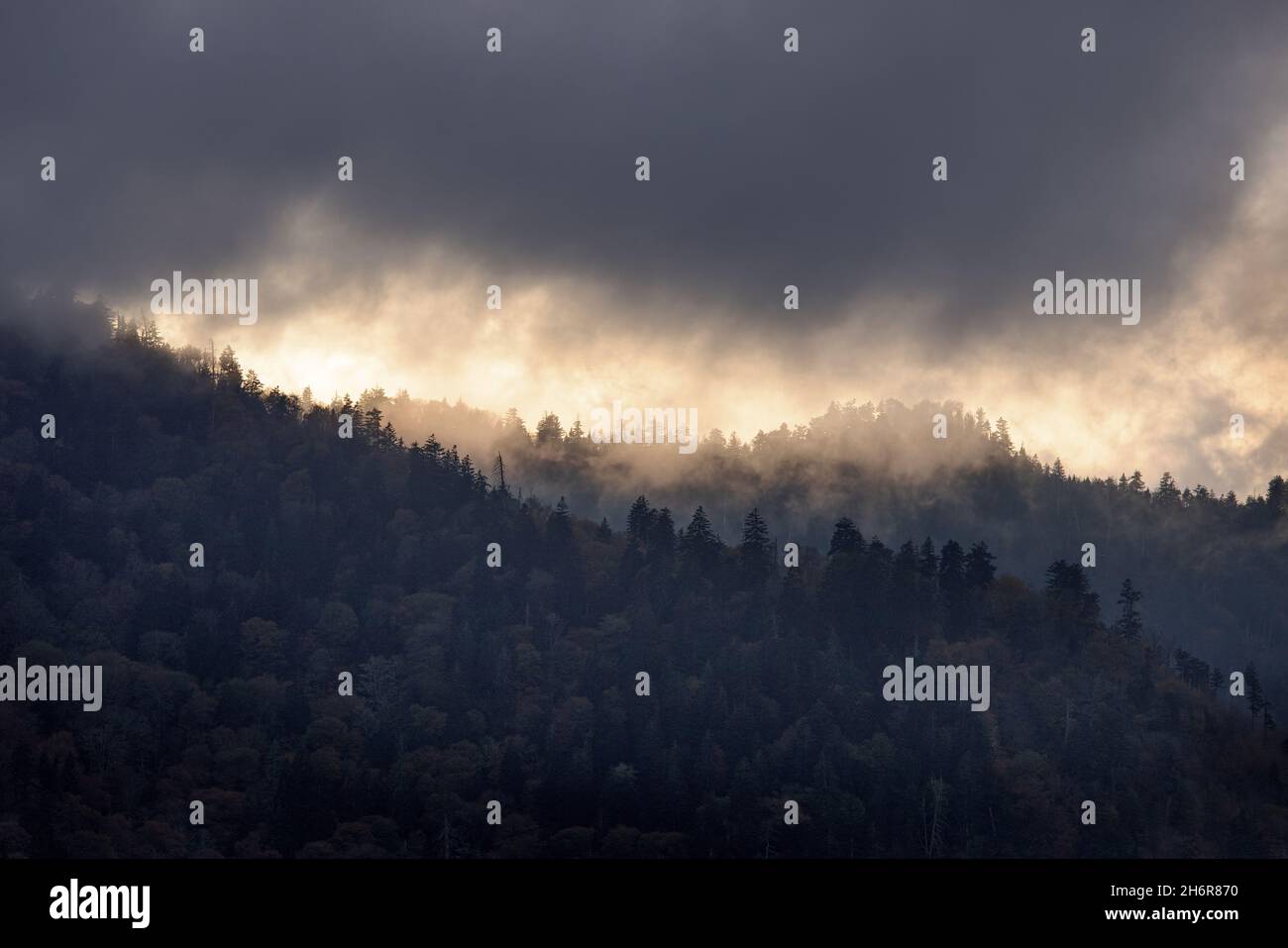 Abendsturm, Great Smoky Mountain National Park - Sevier County, Tennessee. Die späte Sonne erleuchtet einen Herbststurm, der sich durch die Berggipfel zieht. Stockfoto