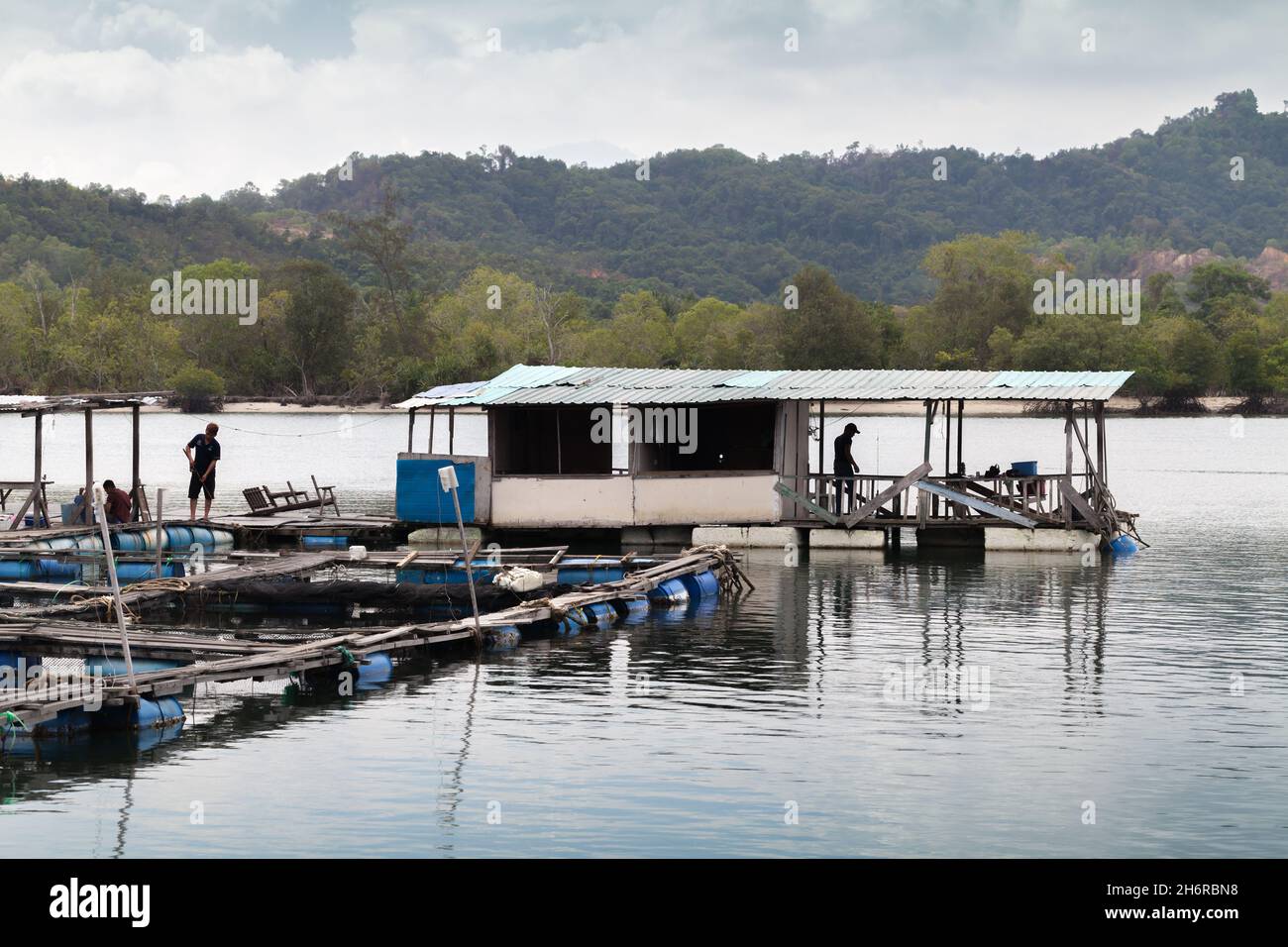 Tuaran, Malaysia - 23. März 2019: Fischfarm am Mengkabong River, Fischer sind auf schwimmenden Ponton Stockfoto