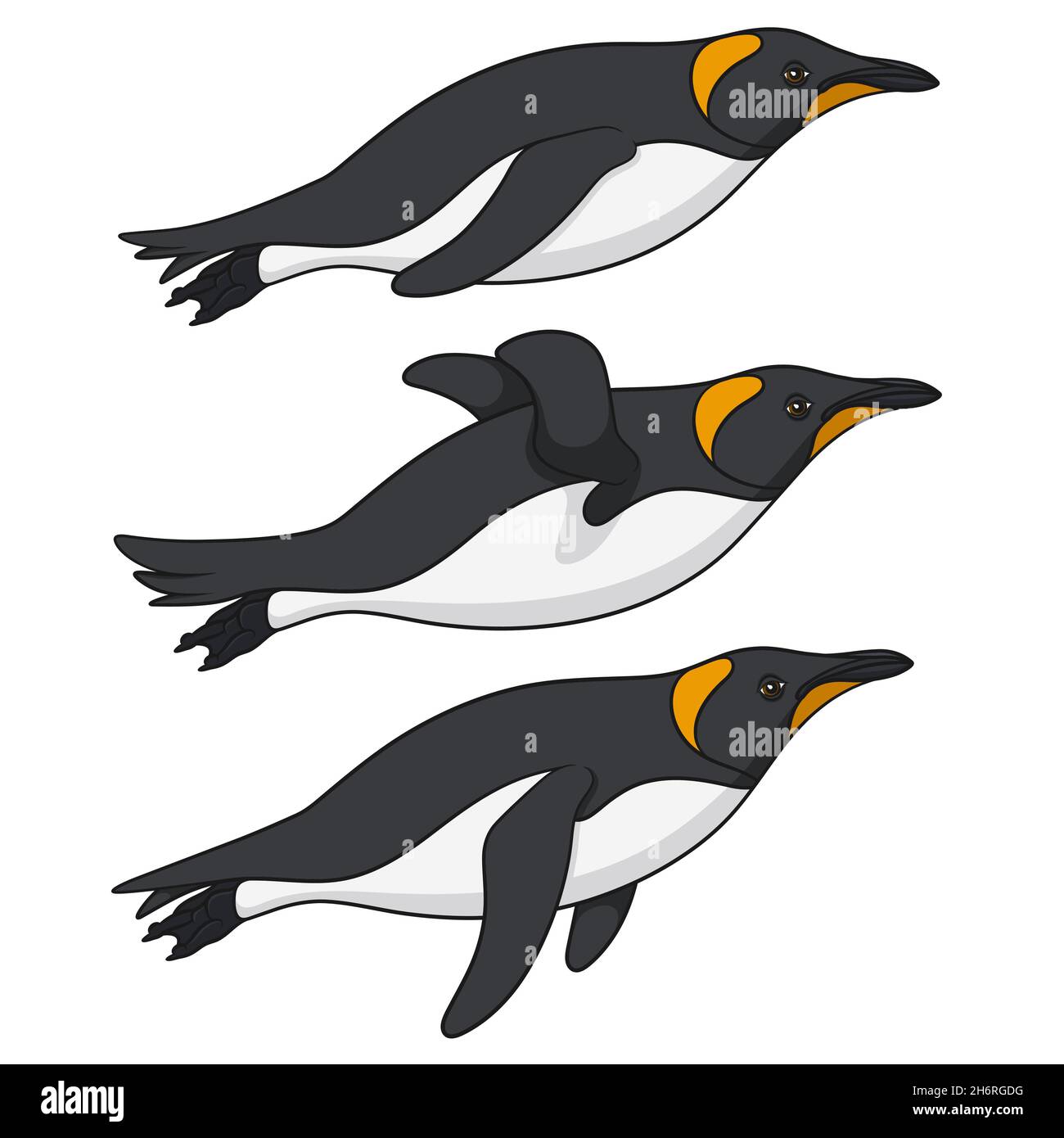 Set von farbigen Illustrationen mit Pinguinen, die im Wasser schwimmen. Isolierte Vektorobjekte auf weißem Hintergrund. Stock Vektor