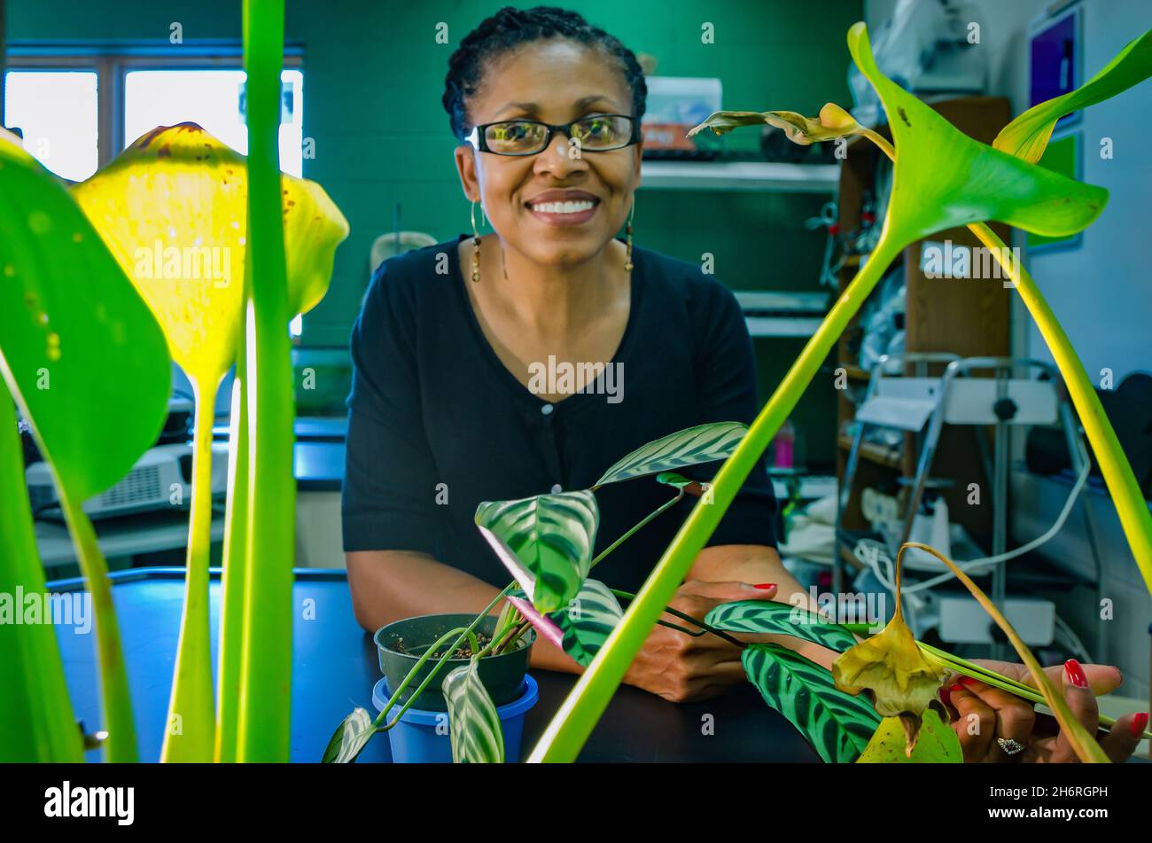 Eine Biologielehrerin posiert mit Pflanzen in ihrem Klassenzimmer am 6. August 2012 in Columbus, Mississippi. Stockfoto