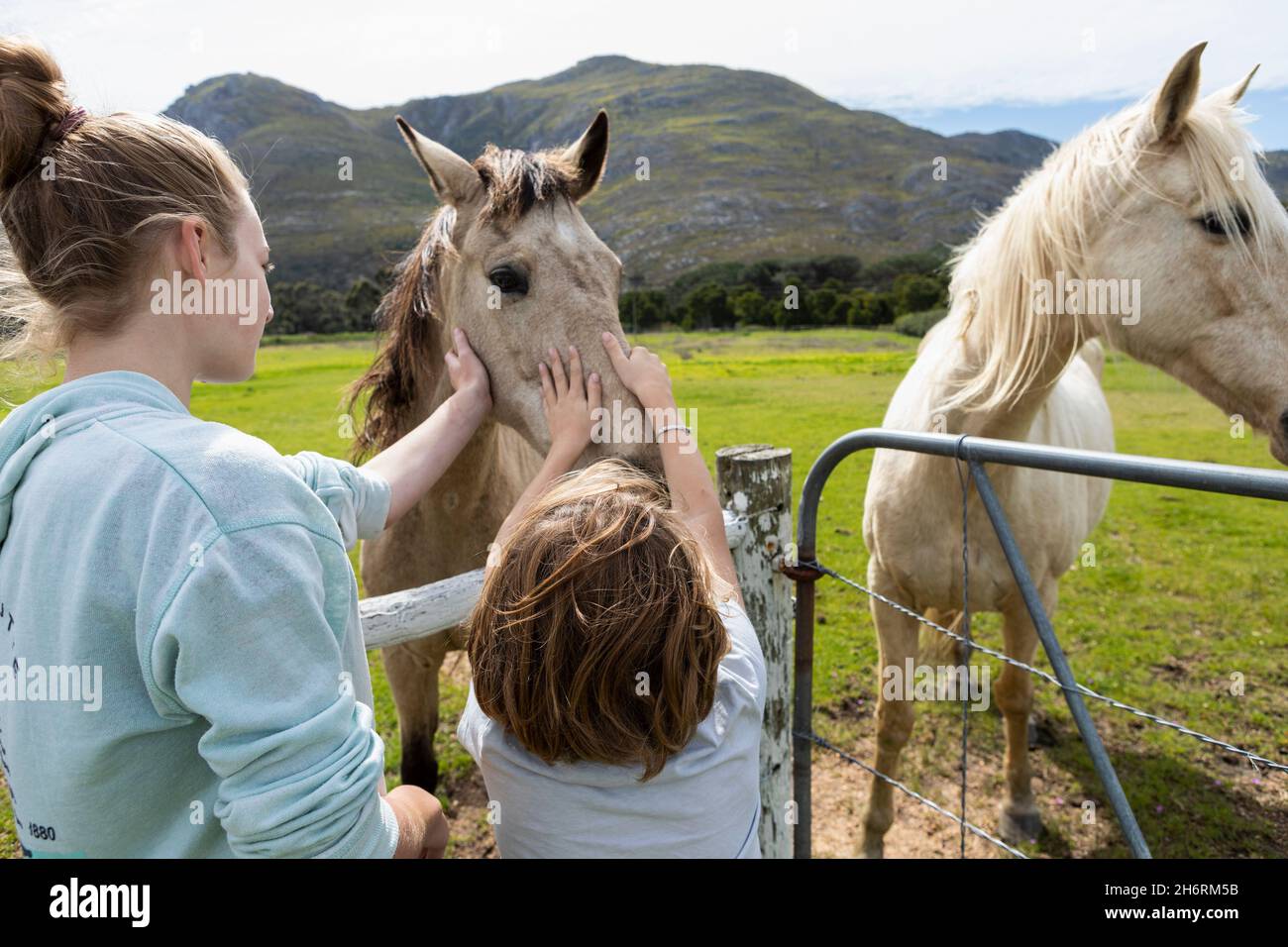 Ein Junge und seine Teenager-Schwester streicheln und klopfen Pferde in einem Fahrerlager. Stockfoto