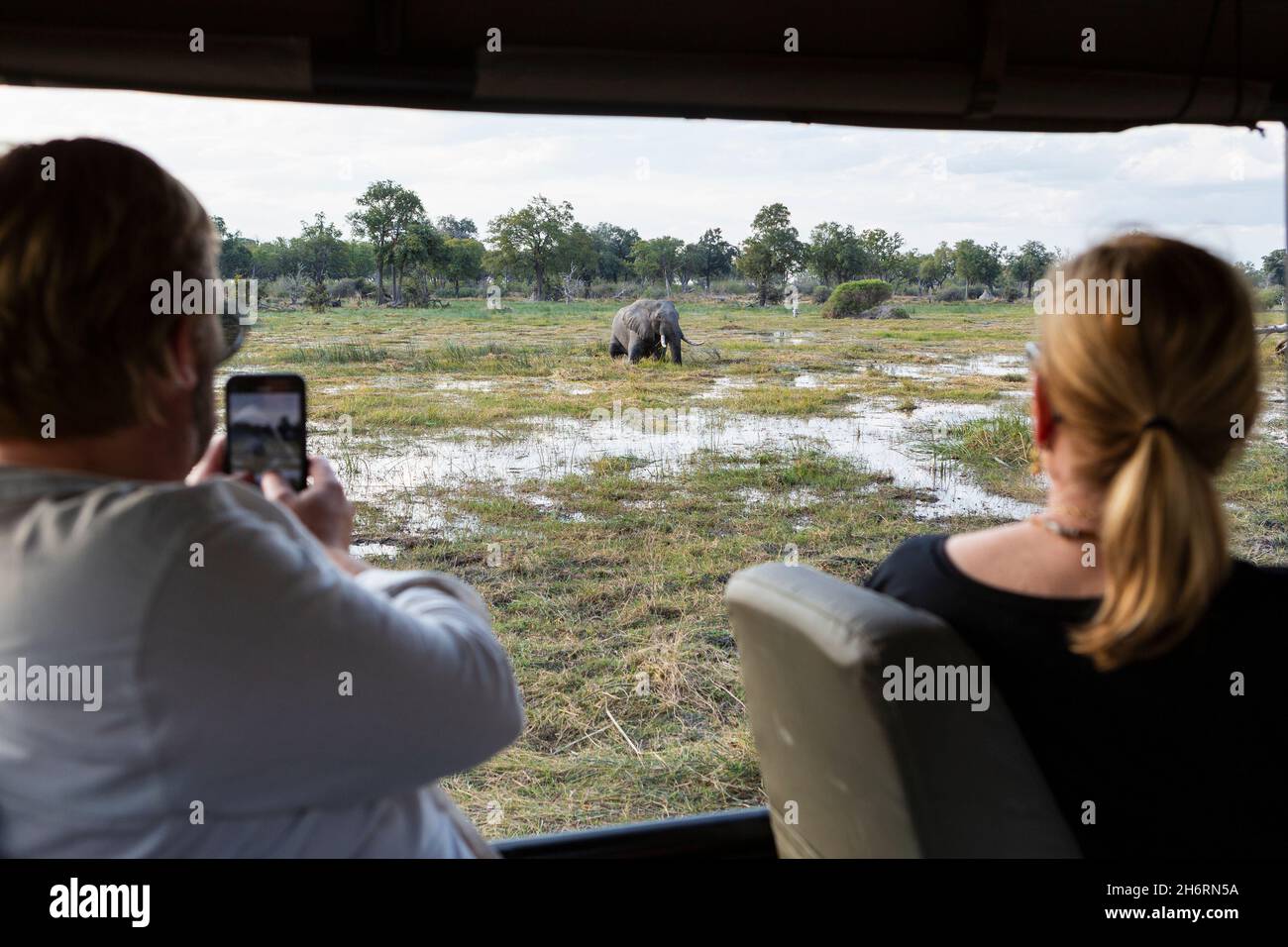 Ein Mann in einem Jeep, der mit einem Smartphone ein Foto eines Elefanten fotografiert, der tief im Wasser auf der Brust watend ist Stockfoto