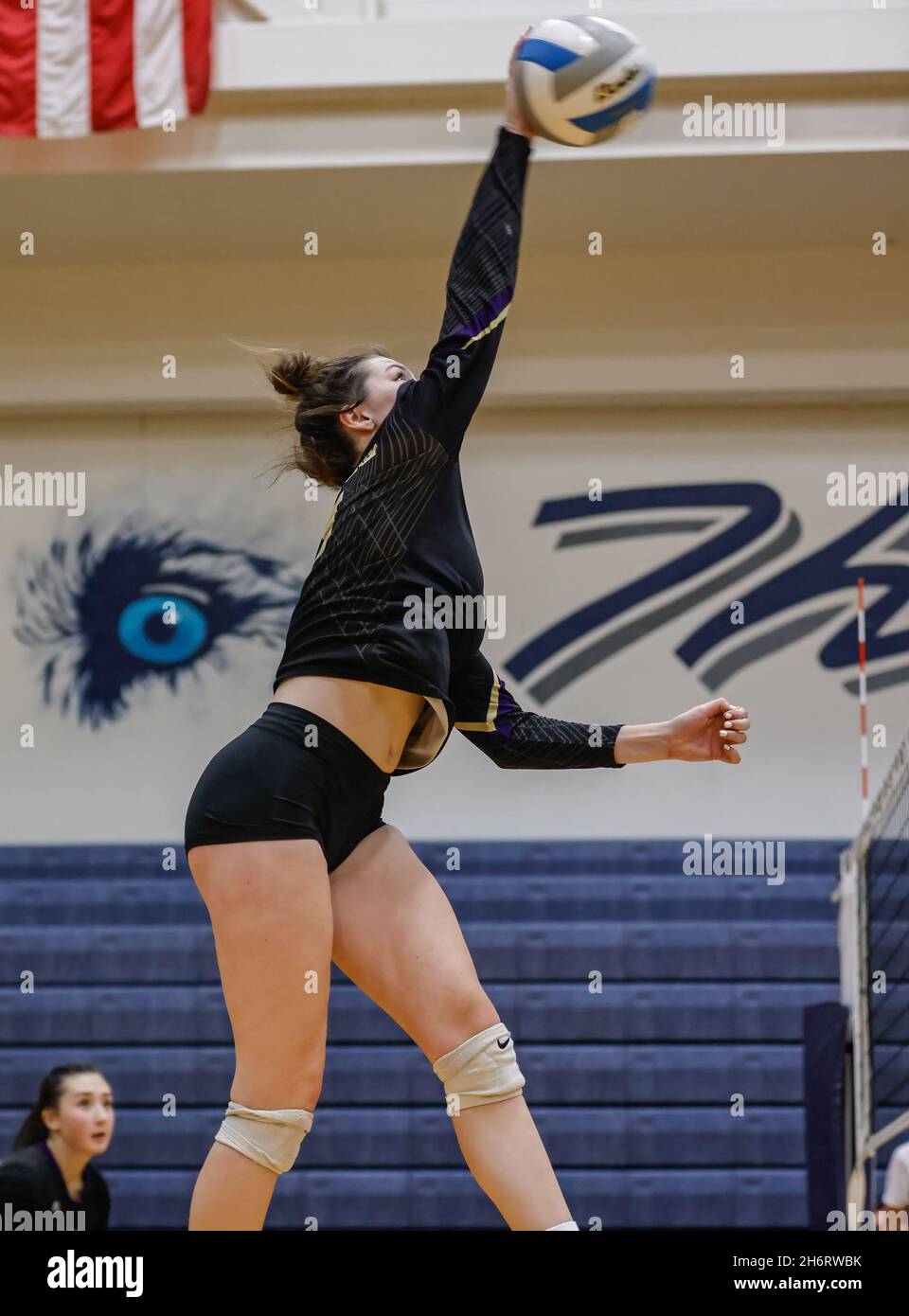 Volleyball-Action mit Parma gegen Kellogg bei den Idaho State Championships in Coeur d'Alene, Idaho. Stockfoto