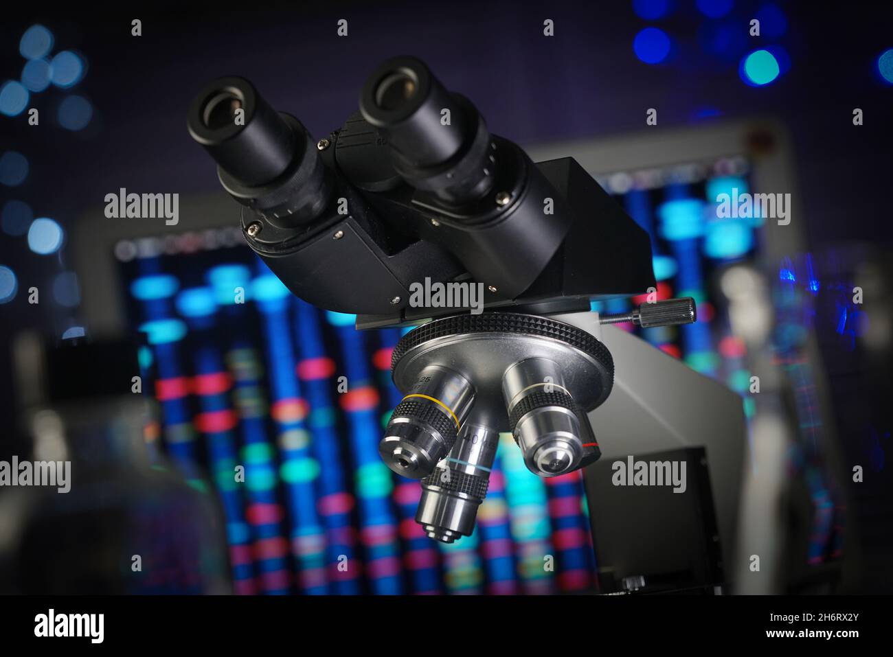 Mikroskop im Labor.Mario Beauregard/Alamy Stockfoto