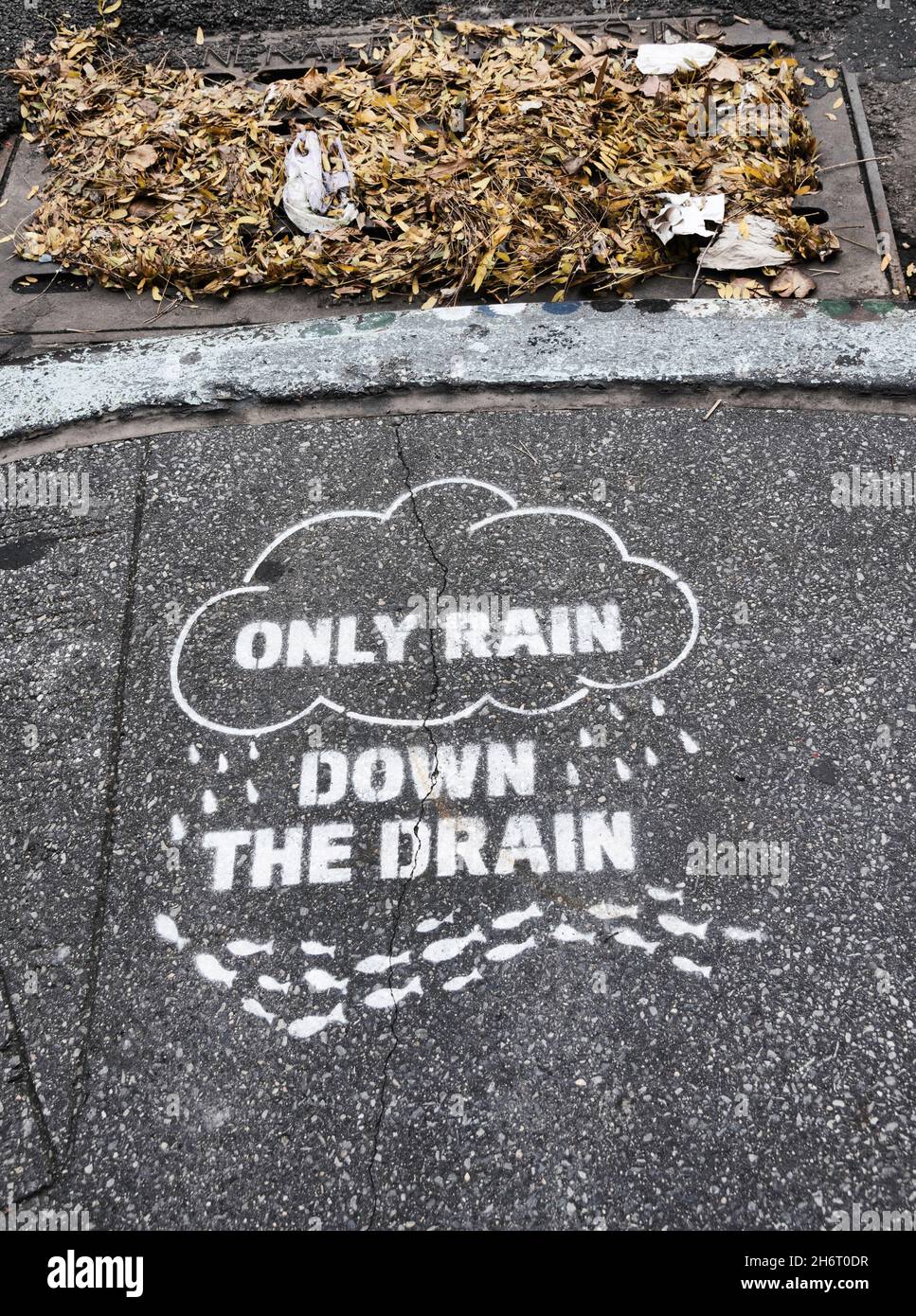 Nur Regen Sie die Drain Schablone und verstopftes Drain Rost auf einer New York City Street, USA Stockfoto