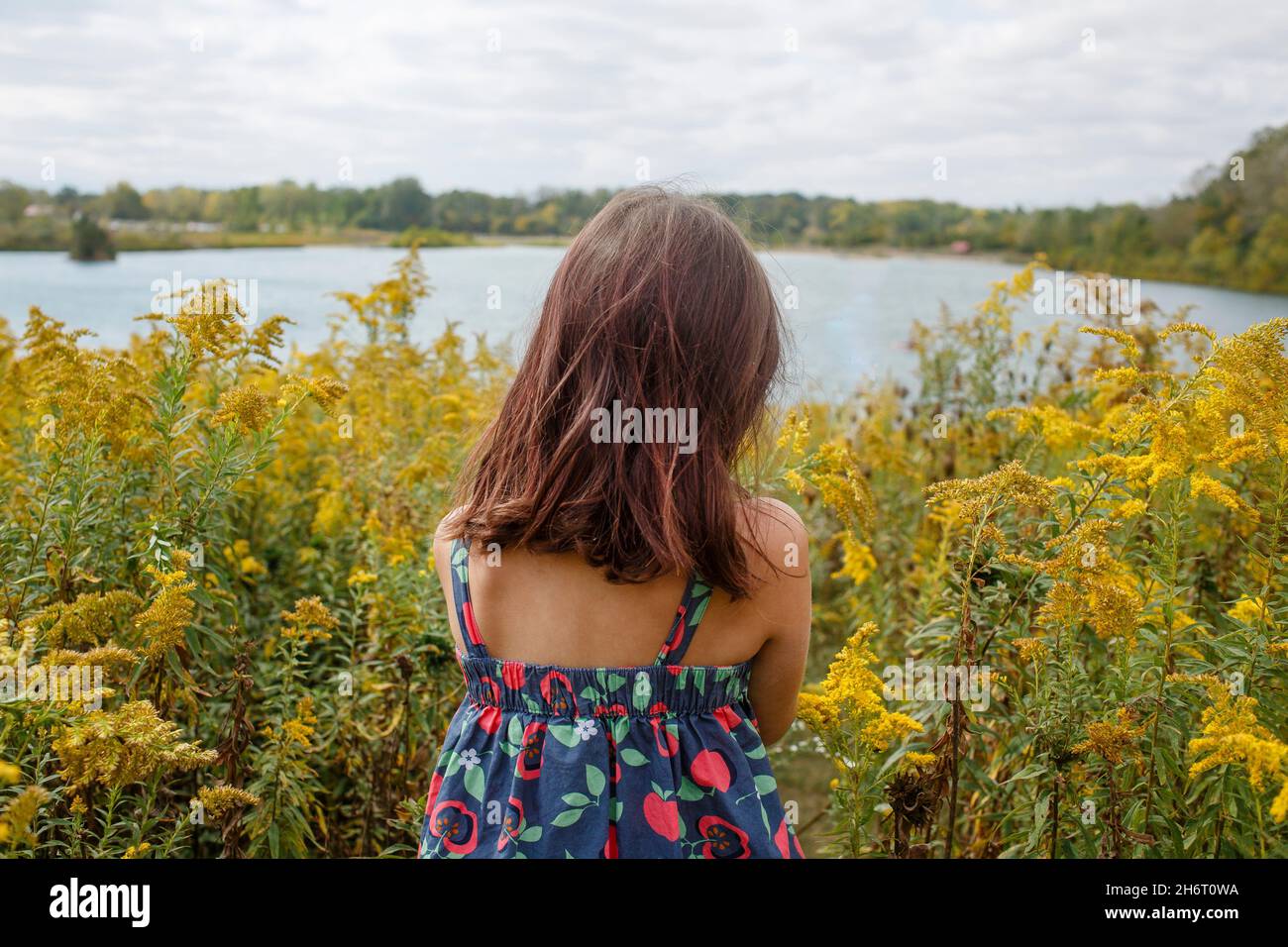 Rückansicht eines kleinen Kindes, das in einer Wiese mit Wildblumen am See steht Stockfoto