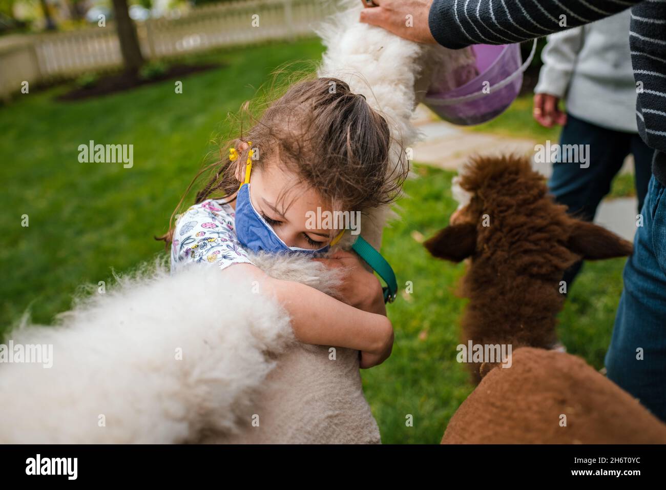 Nahaufnahme des jungen Mädchens umarmt Alpaka Hals Stockfoto