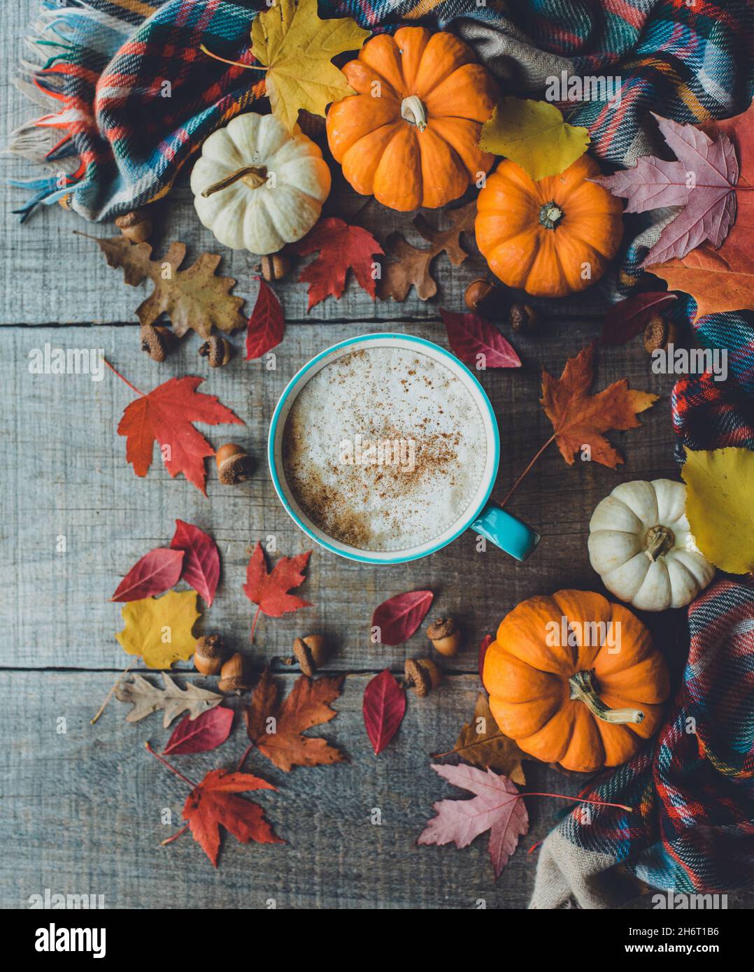 Overhead von Kürbis Gewürz Latte auf Holz mit Blättern und Kürbissen. Stockfoto