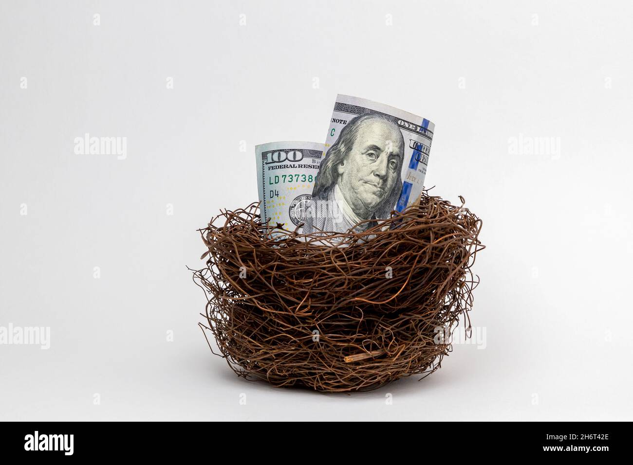 Vogelnest mit 100-Dollar-Scheinen. Finanzielles Nest Ei, Altersvorsorge und Investitionskonzept Stockfoto