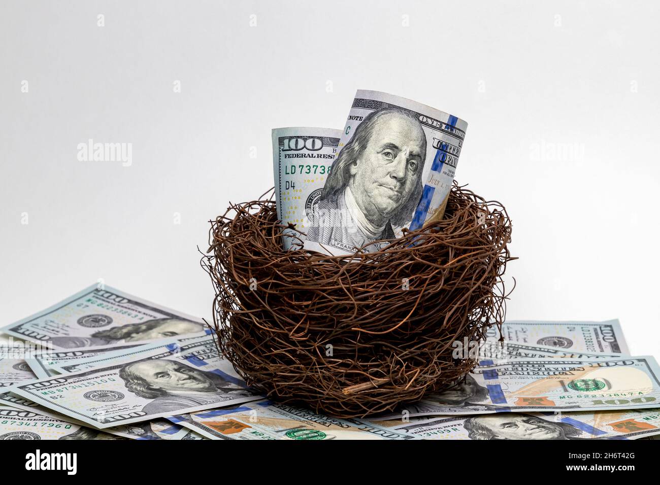 Vogelnest mit 100-Dollar-Scheinen. Finanzielles Nest Ei, Altersvorsorge und Investitionskonzept Stockfoto