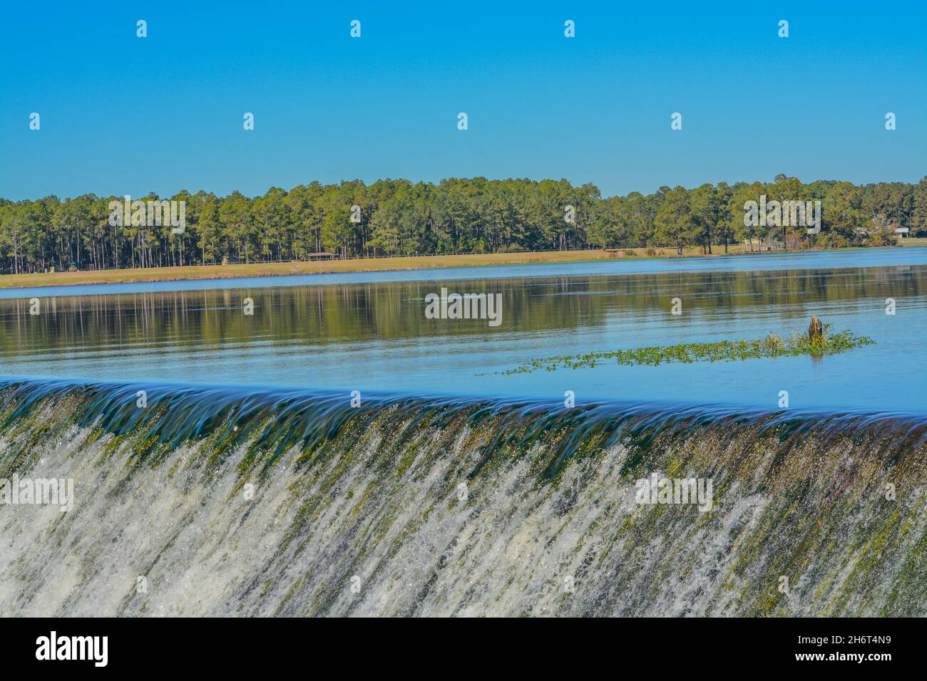 Der Reed Bingham Lake und der Wasserfall in den Little River im Reed Bingham State Park in Adel, Colquitt County, Georgia Stockfoto