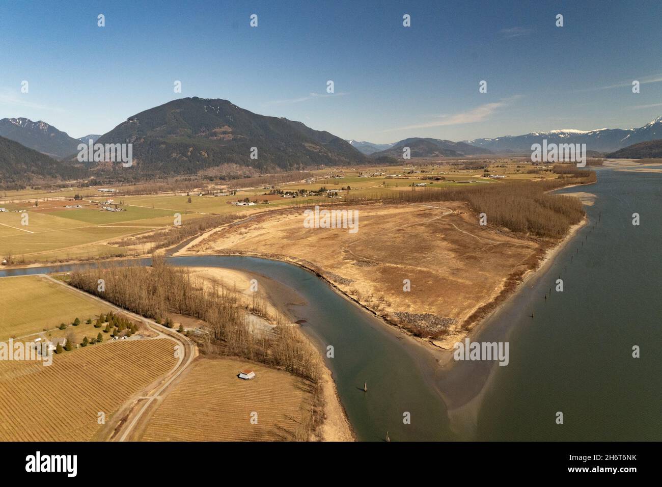 Fraser River im Frühjahr in der Nähe der Stadt Chilliwack in British Columbia, Kanada, Stockfoto