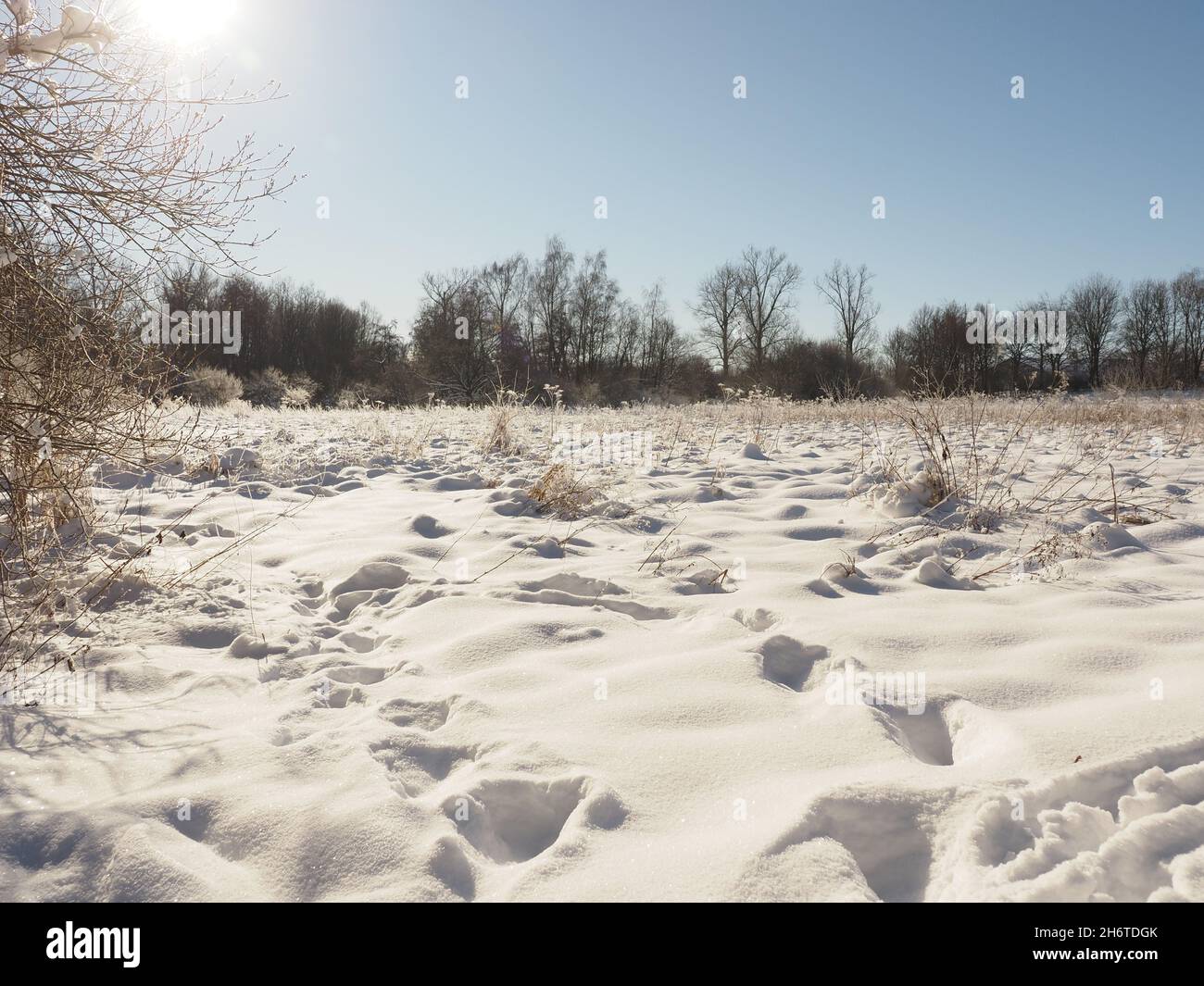 Tierspuren im Tiefschnee, die Schönheit des Winters Stockfoto