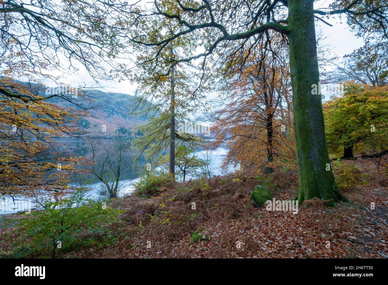 Blick auf Ullswater im Lake District in Cumbria, England, an einem ruhigen frühen Novembermorgen. Atemberaubende Seenlandschaft mit Herbstfarben. Stockfoto
