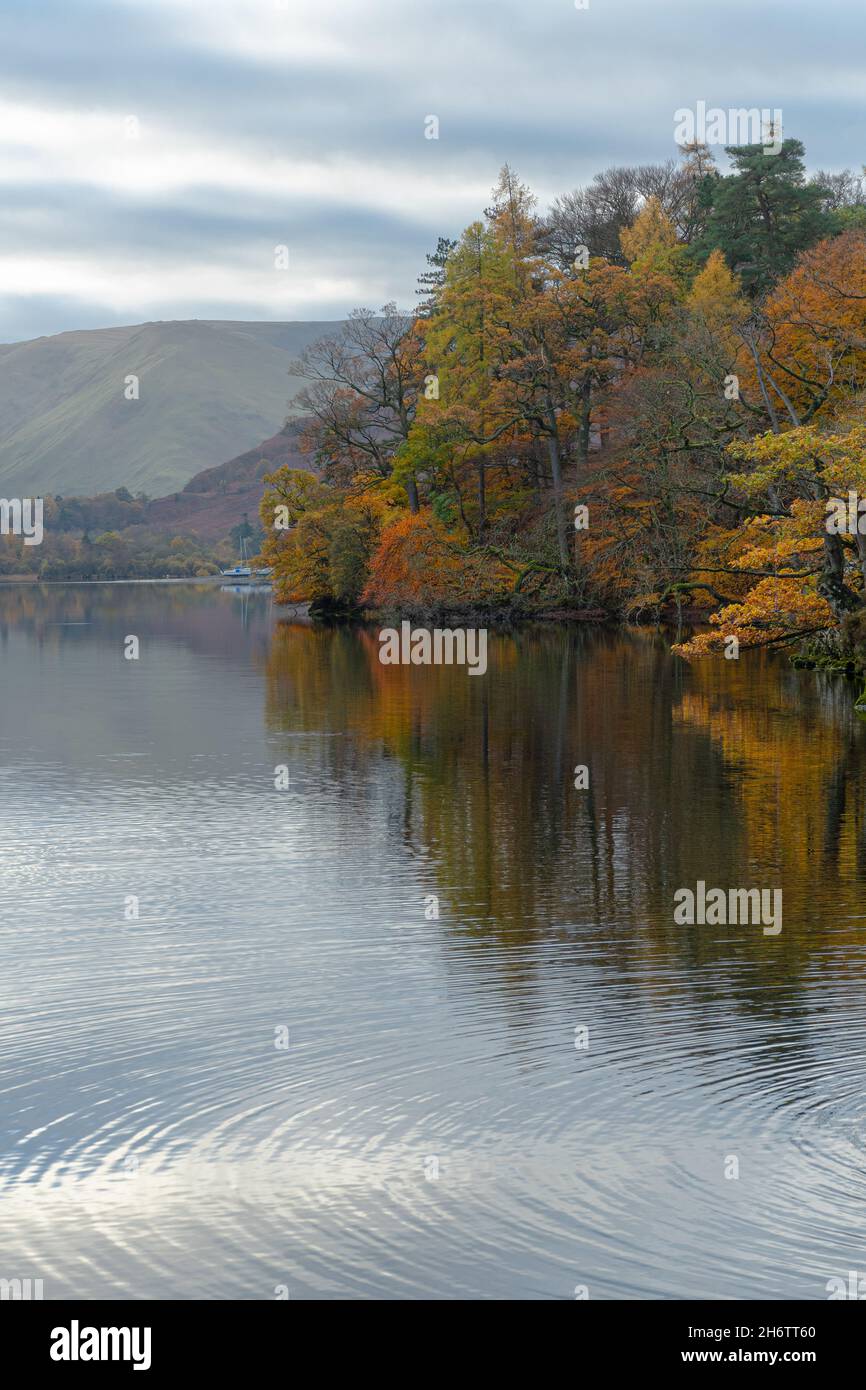 Blick auf Ullswater im Lake District in Cumbria, England, an einem ruhigen frühen Novembermorgen. Atemberaubende Seenlandschaft mit Herbstfarben. Stockfoto