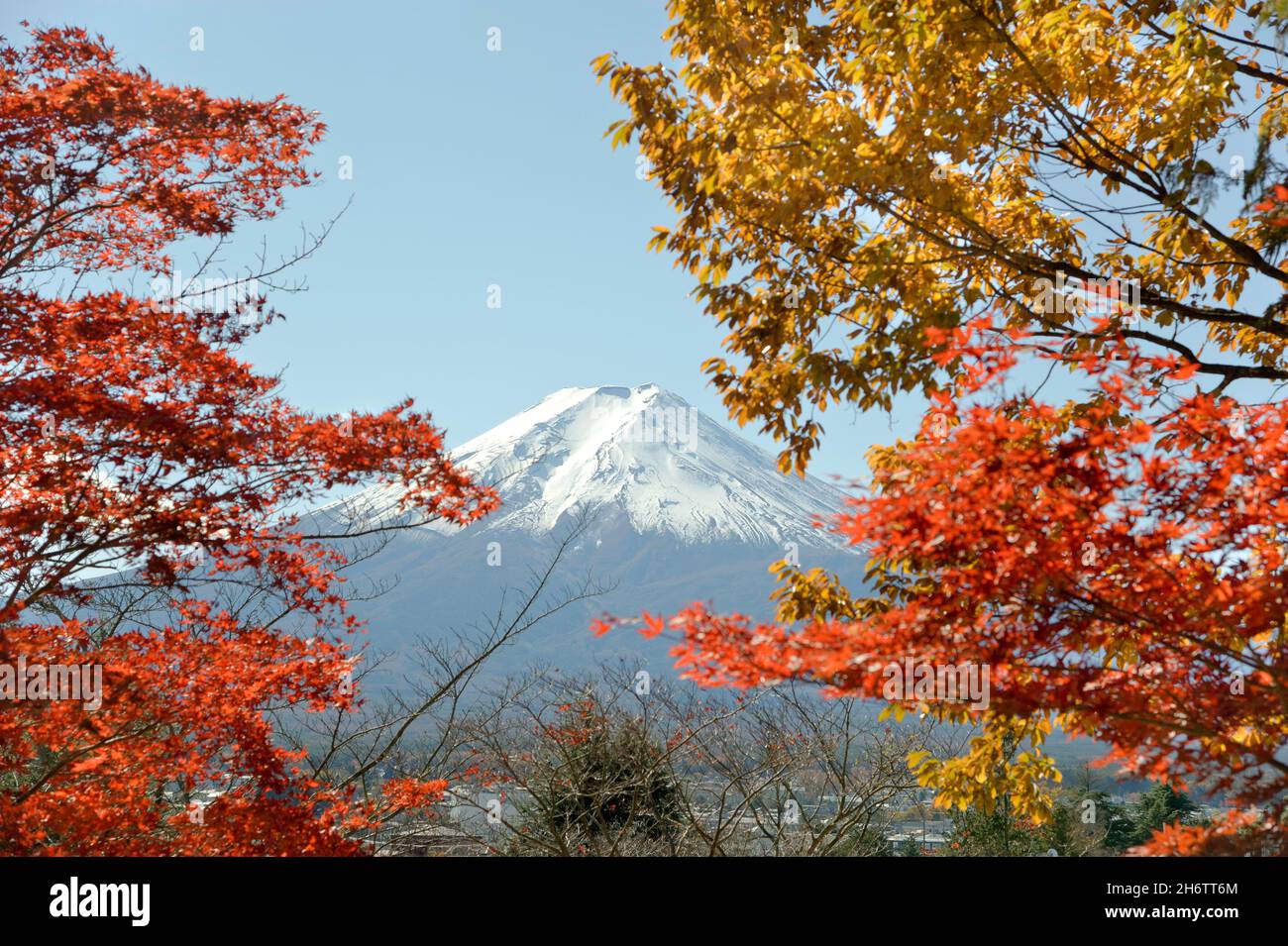 Der schneebedeckte Gipfel des Fuji, der im Herbst gesehen wird, beginnt auf dem Weg zur Chureito-Pagode in der Nähe von Shimoyoshida in der Präfektur Yamanashi, Japan. Stockfoto