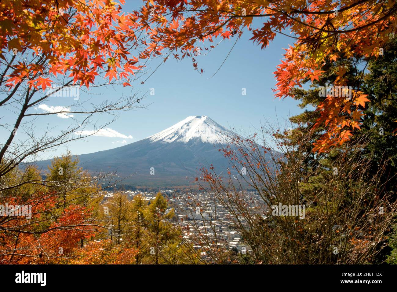 Der schneebedeckte Gipfel des Fuji, der durch den Herbst gesehen wird, verlässt Shimoyoshida in der Präfektur Yamanashi, Japan. Stockfoto