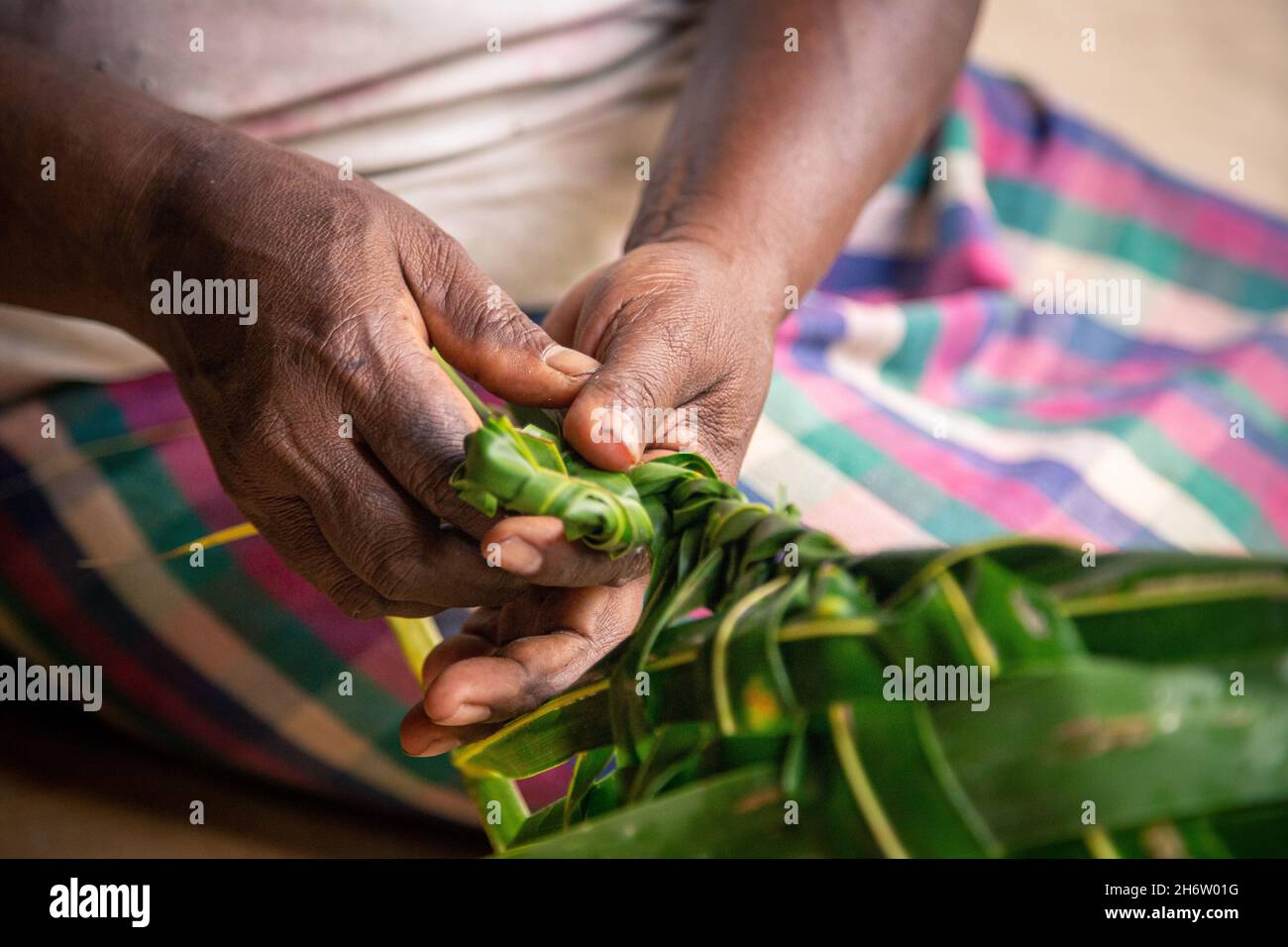 Frau, die ein Kokosnusspalmenblatt in einen Korb webt, um auf den Salomonen einkaufen zu können. Stockfoto