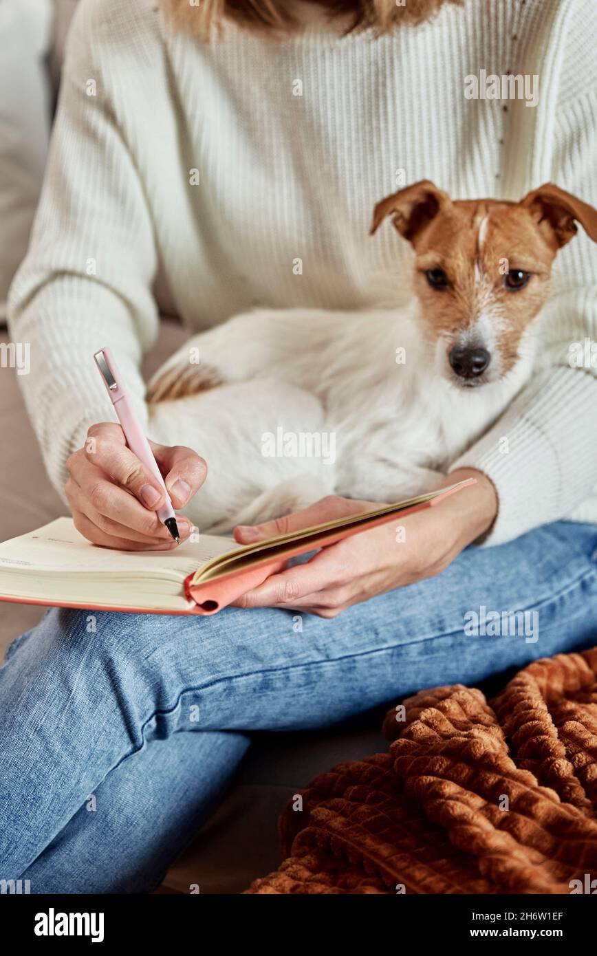 Frau, die zu Hause mit ihrem Hund arbeitet. Weibliche Hand schreiben Notizen in Notizbuch Stockfoto