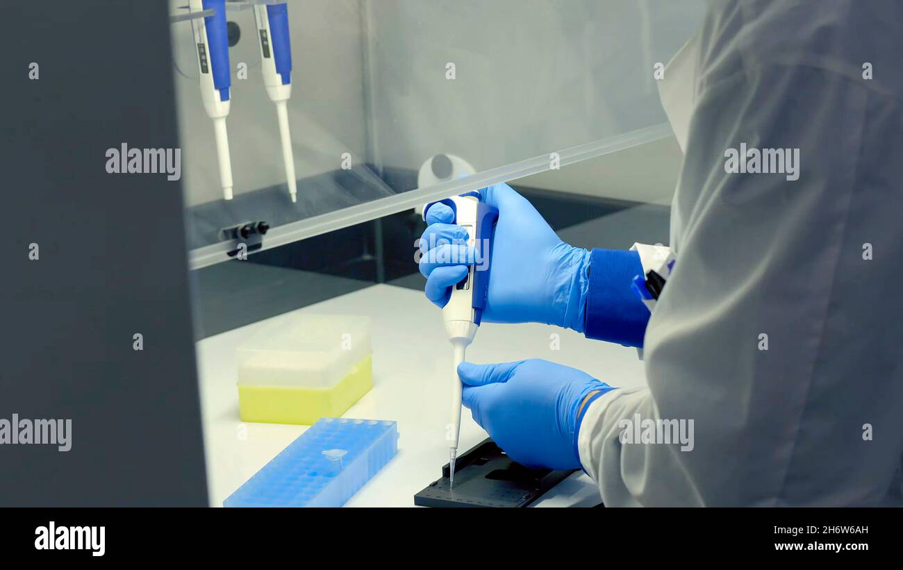 Nahaufnahme eines Arztes oder Wissenschaftlers mit einer Laborpipette zur Messung einer Probe Stockfoto