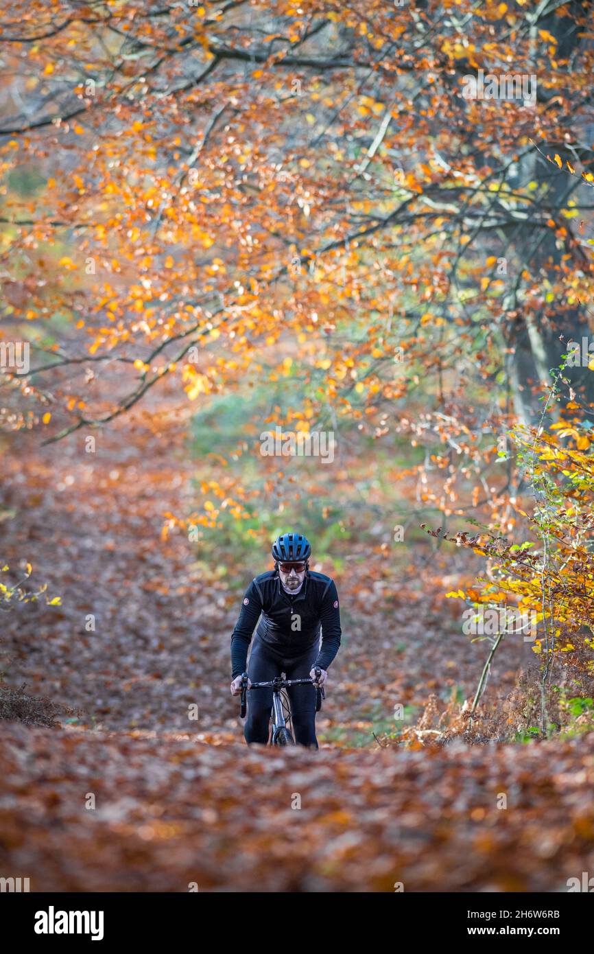 Ein Radler fährt mit einem Schotterrad durch einen Wald. Stockfoto