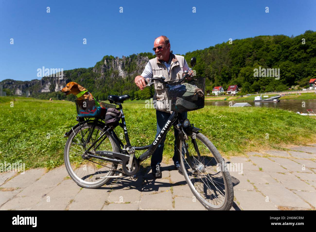 Älterer Mann mit Hund im Fahrradkorb Stockfoto