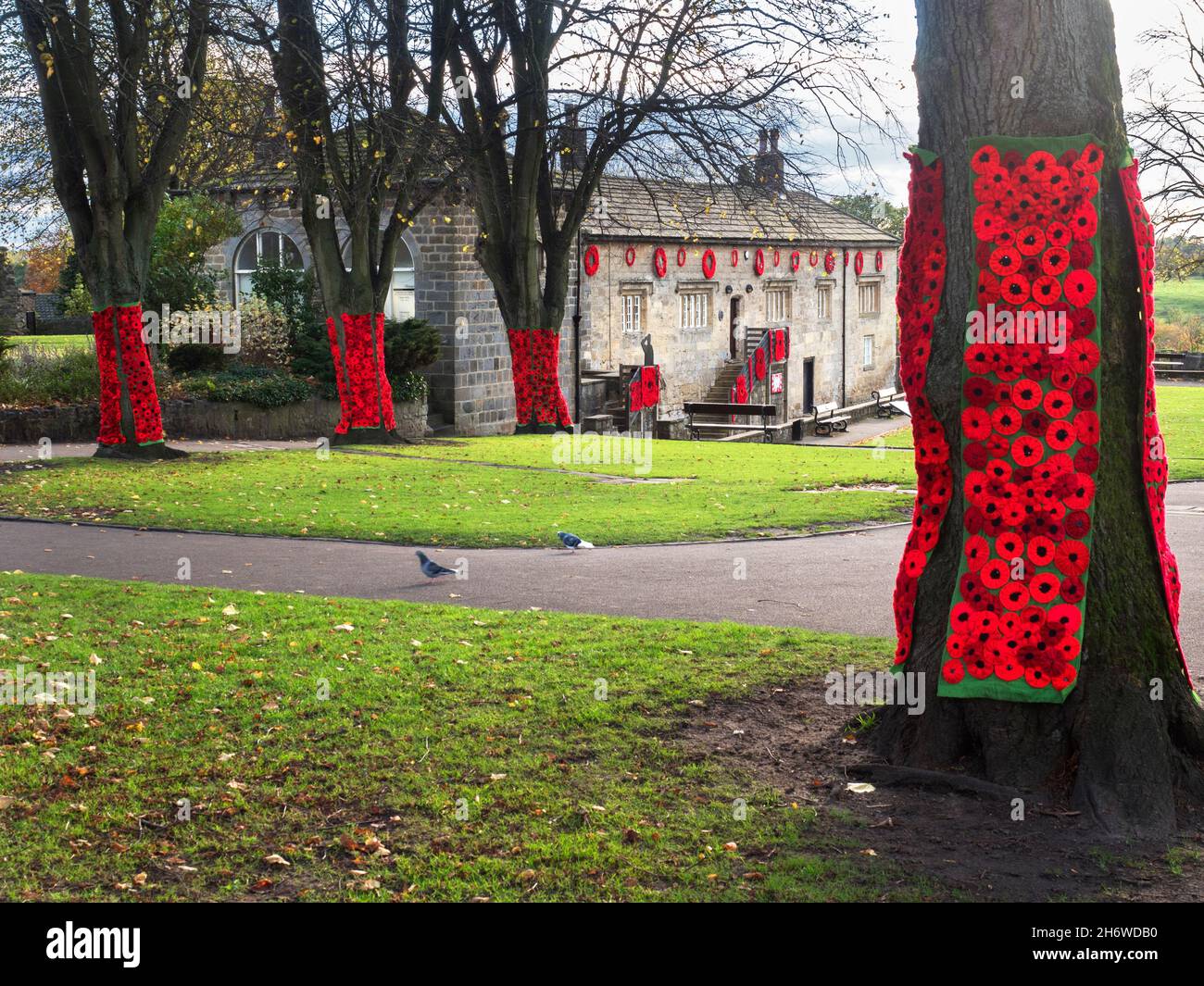 Poppy-Ausstellung anlässlich des 100. Jahrestages der Royal British Legion im Jahr 2021 im Castle in Knaresborough Yorkshire England Stockfoto