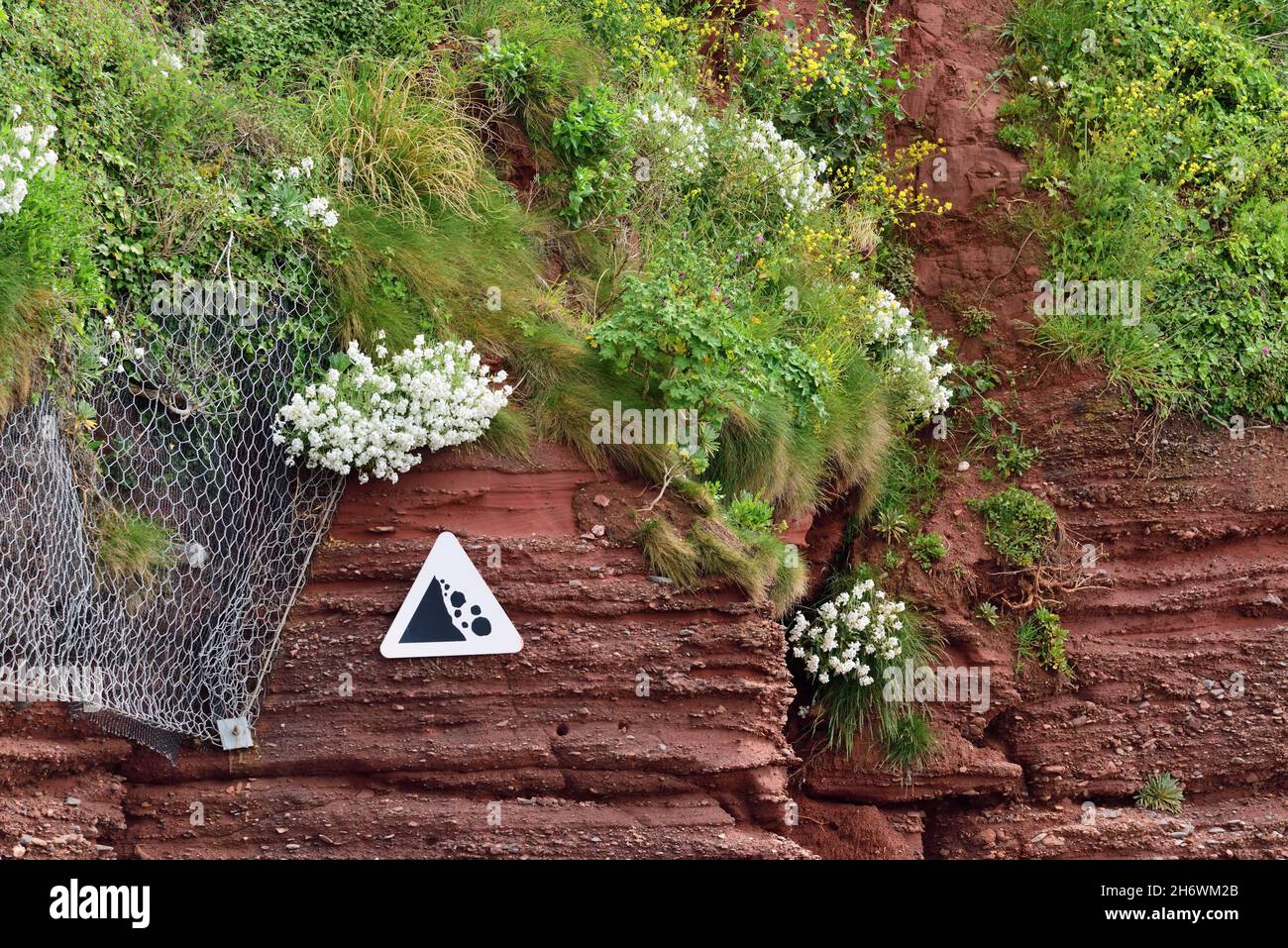 Verwitterte Felsen am Roundham Head bei Goodrington Sands, South Devon. Stockfoto