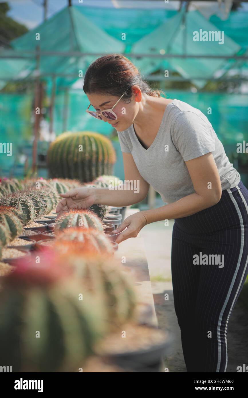 asiatische Frau kümmert sich um die Pflanzung Topf in Kaktusgarten Stockfoto