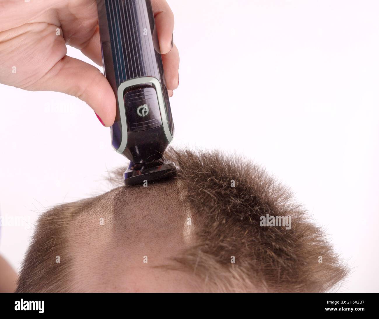 Scherkopf mit elektrischem Rasierer, Trimmer Stockfoto