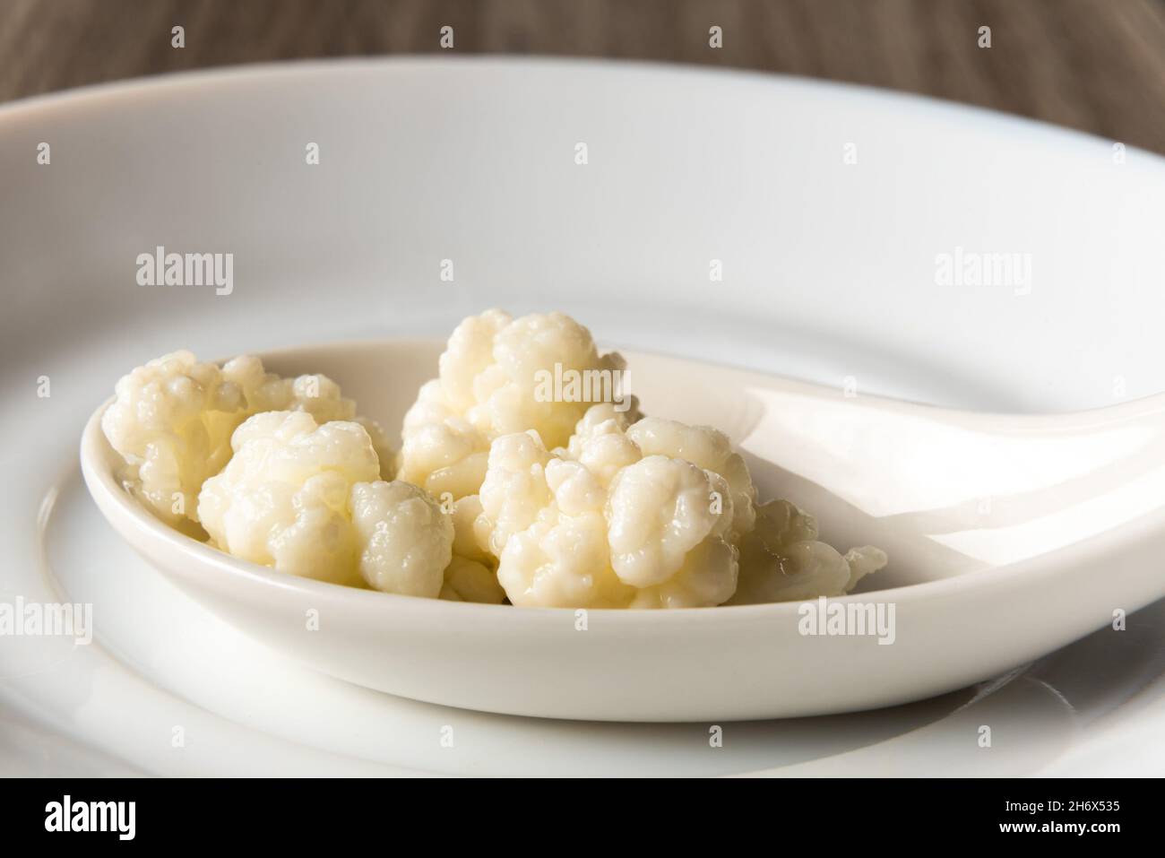 Kefir Körner auf einem weißen Löffel znf Platte, close up Stockfoto