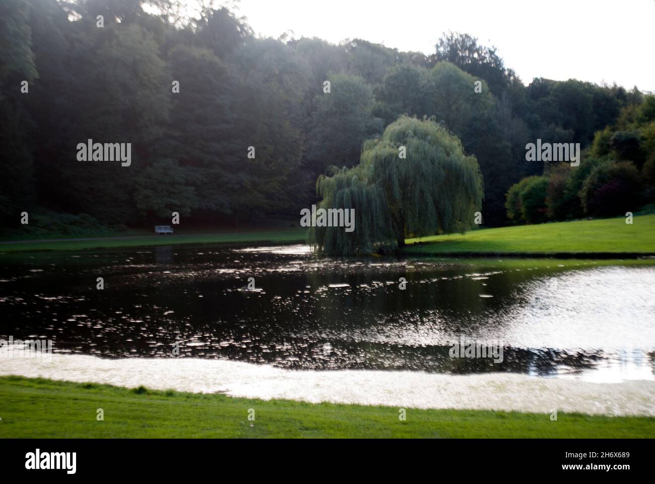 River Skell bei Sonnenuntergang, Studley Royal Park, Fountains Abbey, Aldfield, in der Nähe von Ripon, North Yorkshire, England Stockfoto