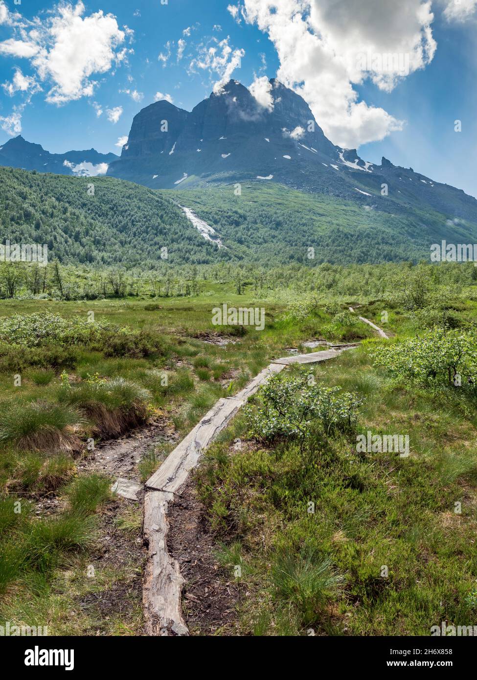 Wanderweg im Tal Innerdalen, Blick auf den Skarfjellet, Norwegen Stockfoto