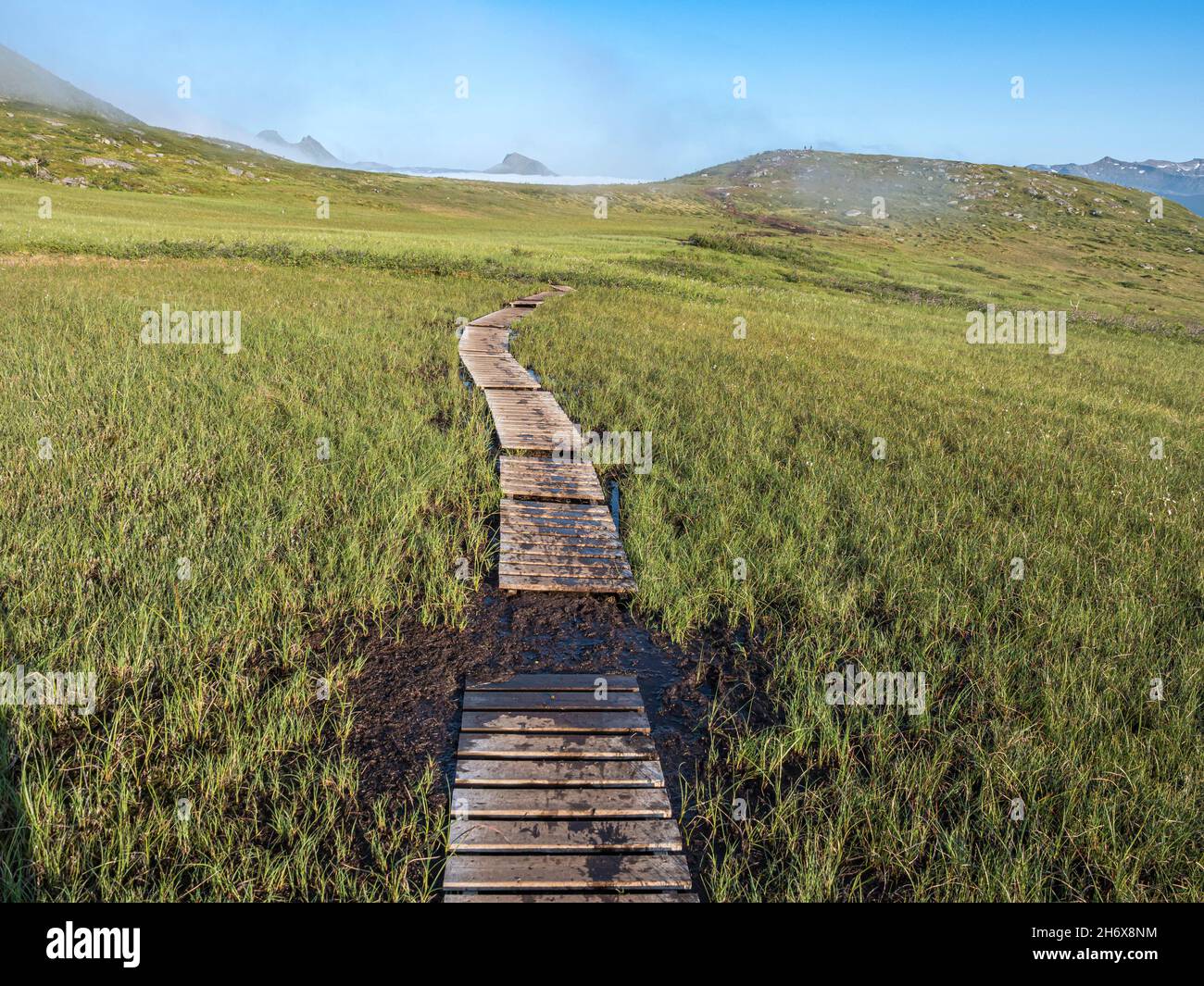 Planked Weg auf dem Weg nach Husfjellet, Senja Insel, Norwegen Stockfoto