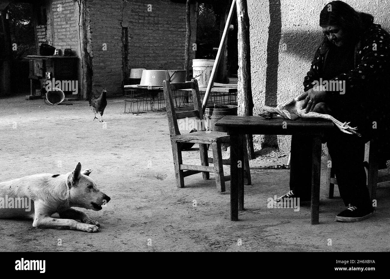 Das ländliche Leben von wird von Soja-Produzenten bedroht, die große Wirtschaftsindustrie anstelle der kleinen Bauernindustrie installieren wollen. Vinal Pozo, Santiago del Estero, Argentinien. Juni 2009. Stockfoto