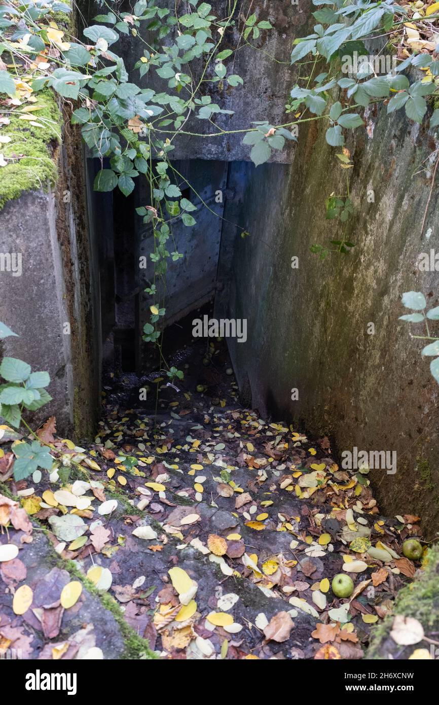 Stoumont, Belgien - 29. Oktober 2021. Joachim Peiper (SS-Obersturmbannführer) hat in diesem Bunker in Cheneu während der Schlacht bei der Bulge gebebt. Im Herbst bewölkt Stockfoto