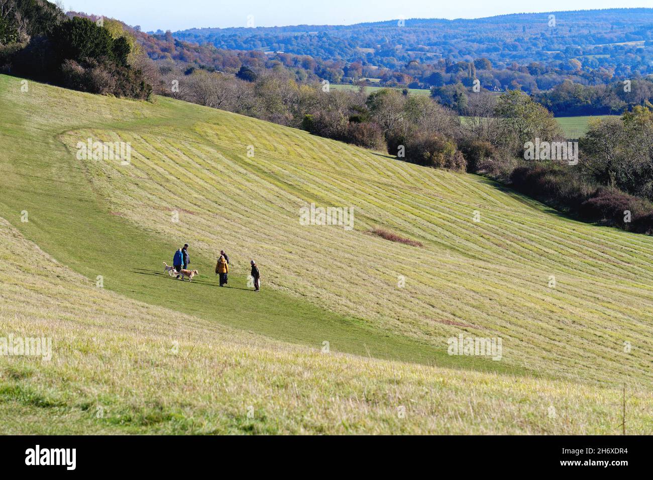 Die Albury Downs bei Newlands Corner mit Figuren, die an einem sonnigen Herbsttag in den Surrey Hills England in der Landschaft wandern Stockfoto