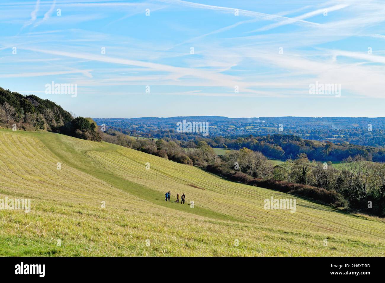 Die Albury Downs bei Newlands Corner mit Figuren, die an einem sonnigen Herbsttag in den Surrey Hills England in der Landschaft wandern Stockfoto