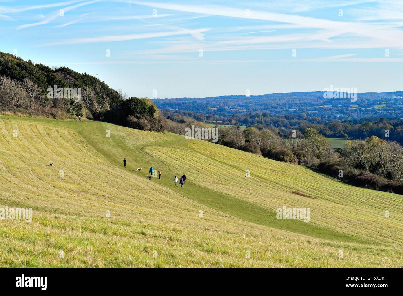 Die Albury Downs bei Newlands Corner mit Figuren, die an einem sonnigen Herbsttag in den Surrey Hills England in der Landschaft wandern Stockfoto