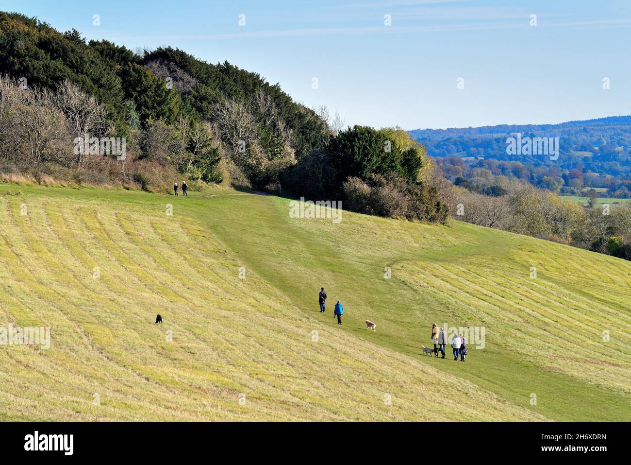 Die Albury Downs bei Newlands Corner mit Figuren, die an einem sonnigen Herbsttag in den Surrey Hills England in der Landschaft wandern Stockfoto