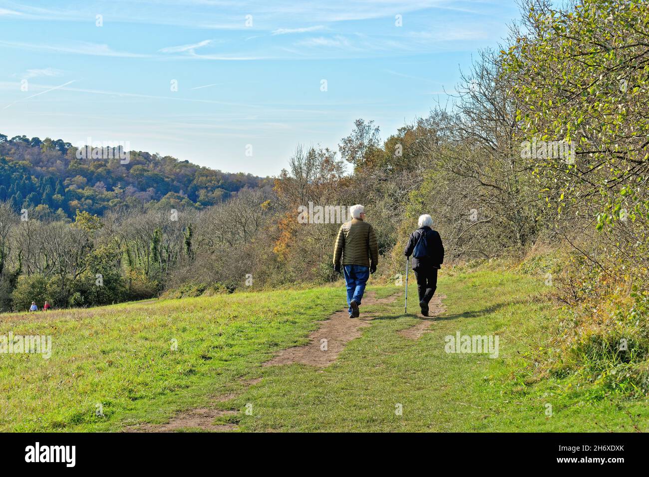 Älteres weißhaariges Paar, das an einem sonnigen Herbsttag auf dem North Downs Way an der Newlands Corner in den Surrey Hills in der Nähe von Guildford spazierengeht Stockfoto