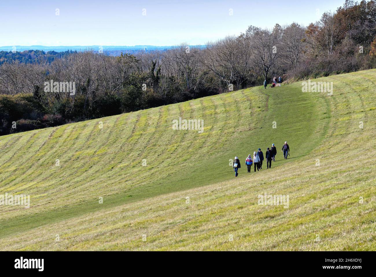 Die Albury Downs in Newlands Corner mit einer älteren Gruppe von Wanderern, die an einem sonnigen Herbsttag in den Surrey Hills in England durch die Landschaft wandern Stockfoto