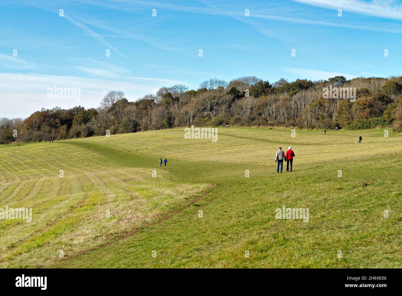 Die Albury Downs bei Newlands Corner mit Figuren, die an einem sonnigen Herbsttag in den Surrey Hills England in der Landschaft wandern Stockfoto