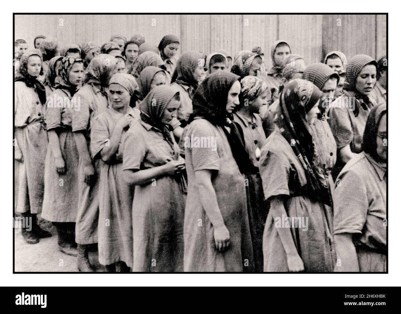 Auschwitz-Birkenau,1942 Frauen aus dem subkarpathianischen Russland, die von ihren Nazi-Entführer für Zwangsarbeit in Auschwitz-Birkenau ausgewählt wurden, marschieren nach der Desinfektion und dem Headrasieren in dem statuarischen, groben Gefängniskleid und Kopftüchern in Richtung ihrer Kaserne Stockfoto