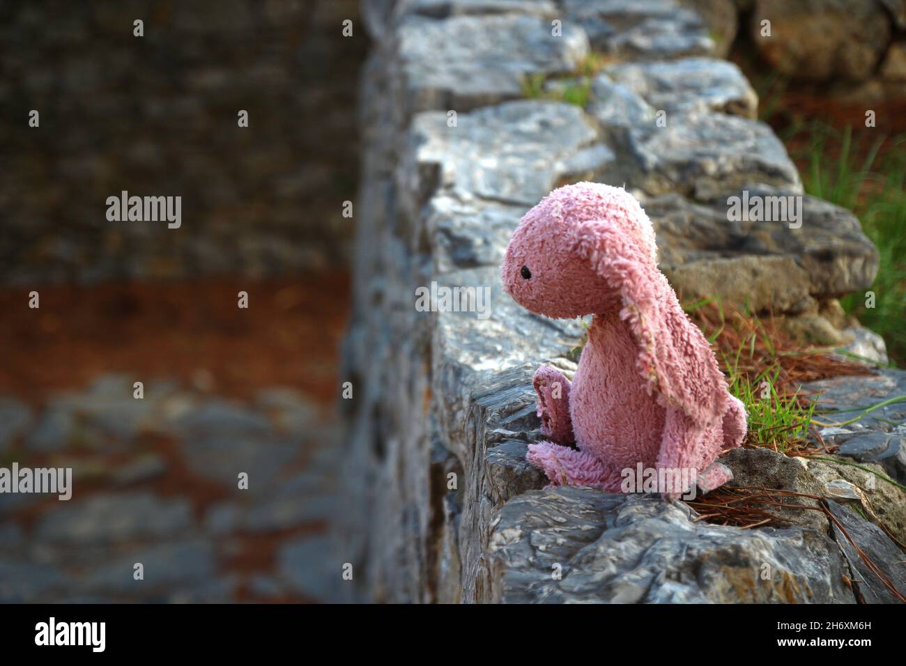 Ein abgenutztes rosa gefülltes Kaninchen wurde an einer Steinmauer zurückgelassen (Porto Venere, Ligurien, Italien) Stockfoto