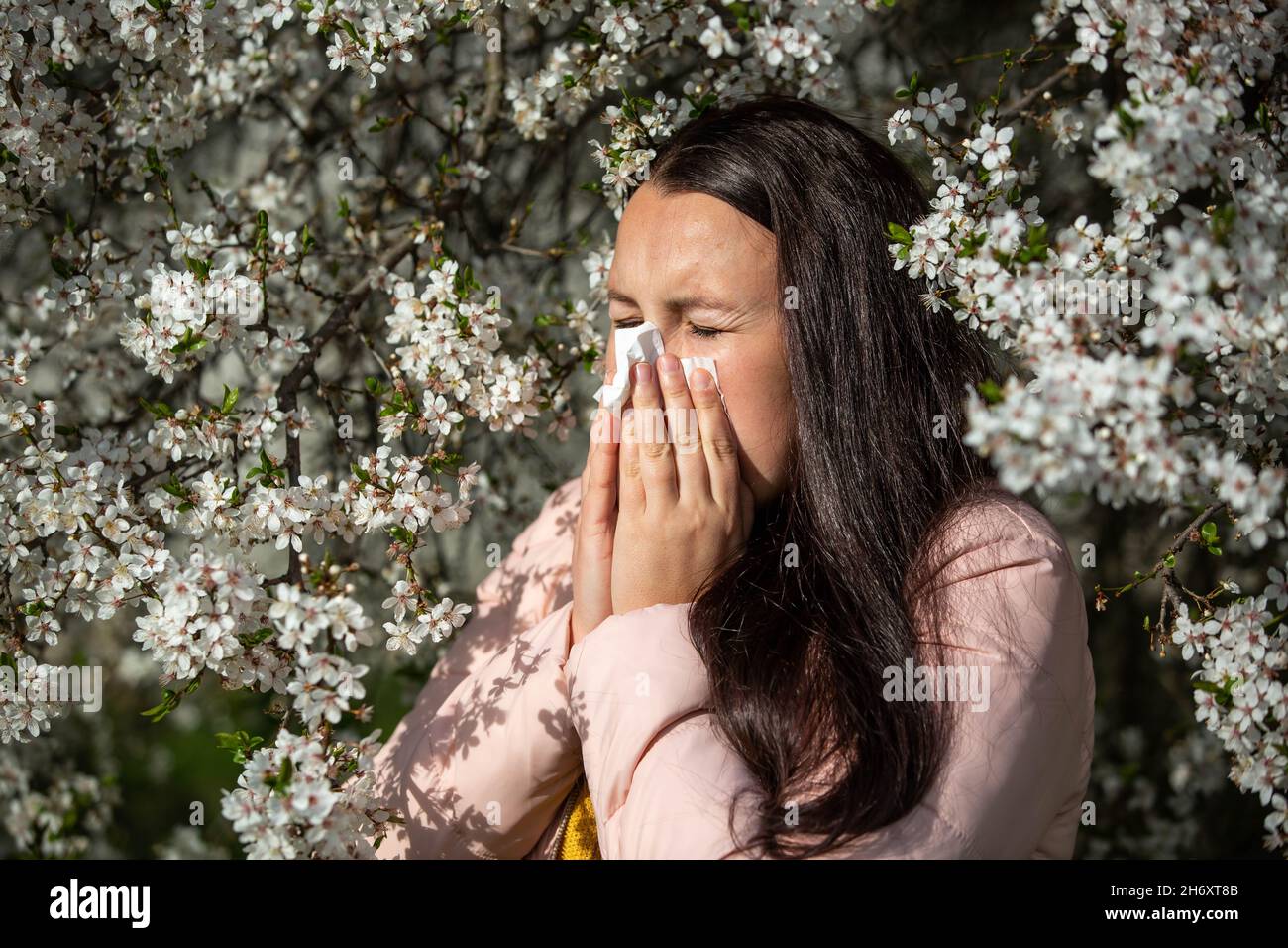 Konzept der Frühjahrsallergie-Symptome, junge Frau niest vor dem Blühen eines Baumes, Allergie gegen Pollen und Blütezeit, Gesundheitsversorgung Stockfoto