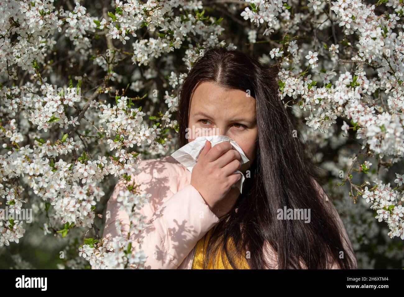 Konzept der Frühjahrsallergie-Symptome, junge Frau niest vor dem Blühen eines Baumes, Allergie gegen Pollen und Blütezeit, Gesundheitsversorgung Stockfoto