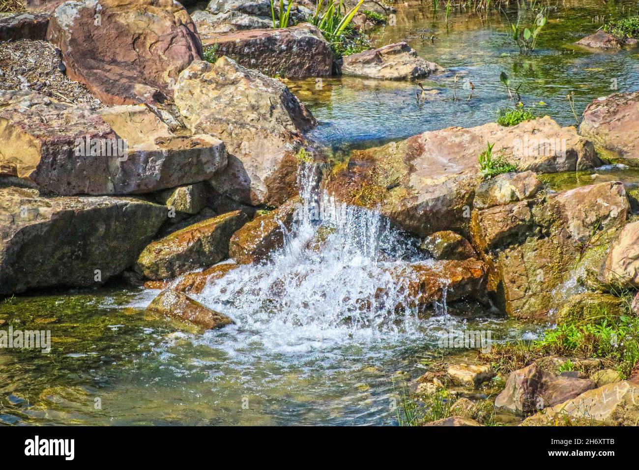 Waldwasserfall in Bach mit rustikalen Felsen und Wasserpflanzen und Wasser spritzen Stockfoto
