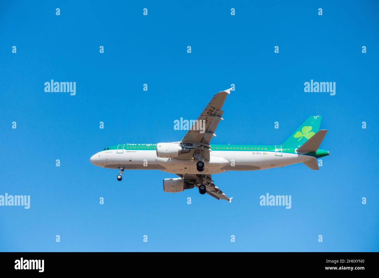Aer Lingus Airbus A320 gegen blauen Himmel. Stockfoto